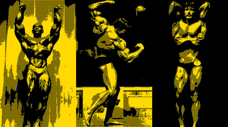 golden era posing - sergio, arnold, zane